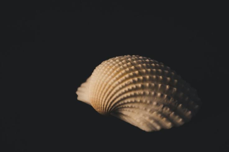 Et si l&rsquo;océan