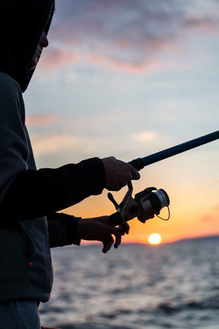 Le complot du projet professionnel